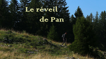 Le réveil de Pan