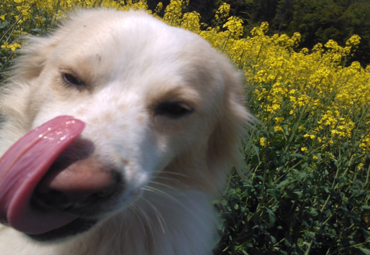 D8A76978-9D46-4C49-B18A-ED40BC581BC3.png D8A76978-9D46-4C49-B18A-ED40BC581BC3.png